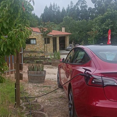 Quintinha Do Casal Ruivo Villa Figueiro Dos Vinhos Dış mekan fotoğraf