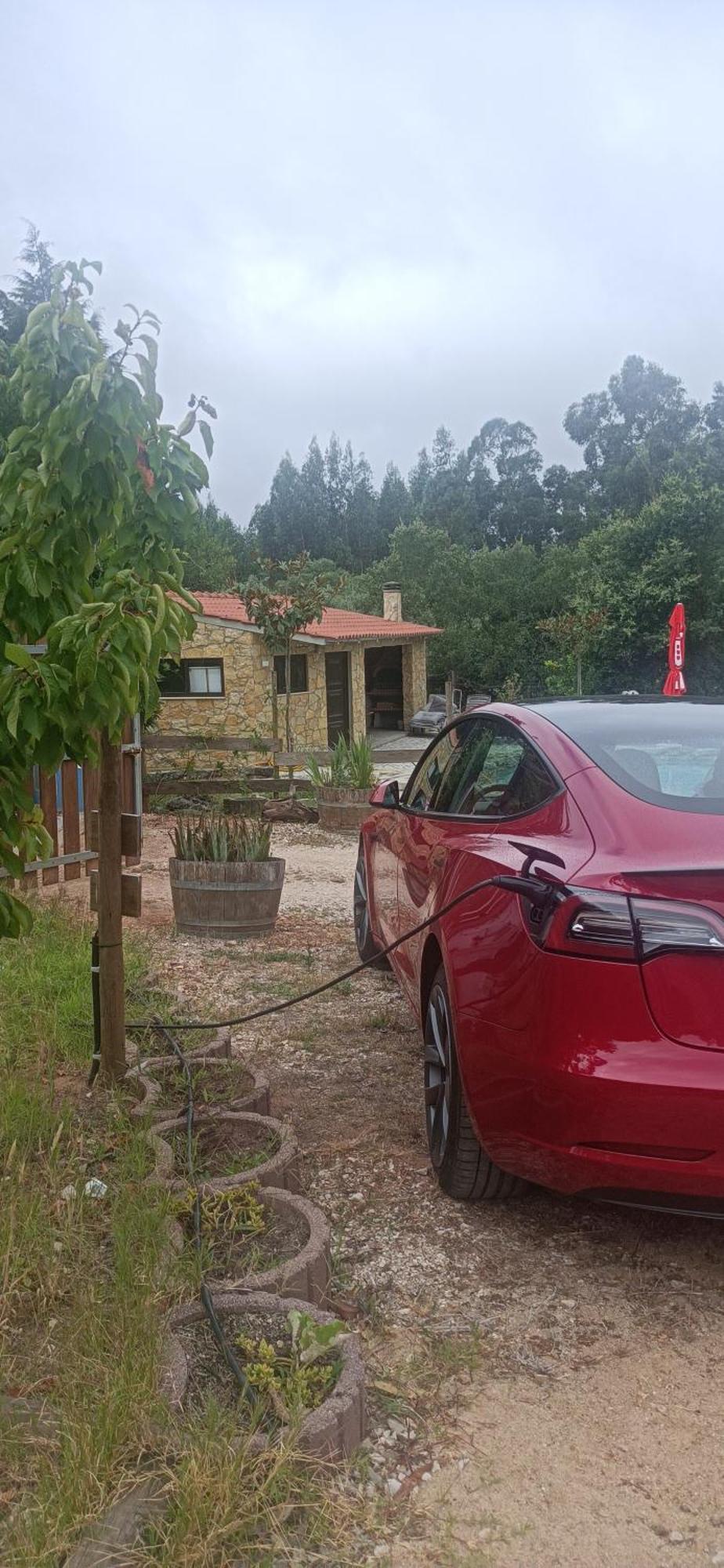 Quintinha Do Casal Ruivo Villa Figueiro Dos Vinhos Dış mekan fotoğraf