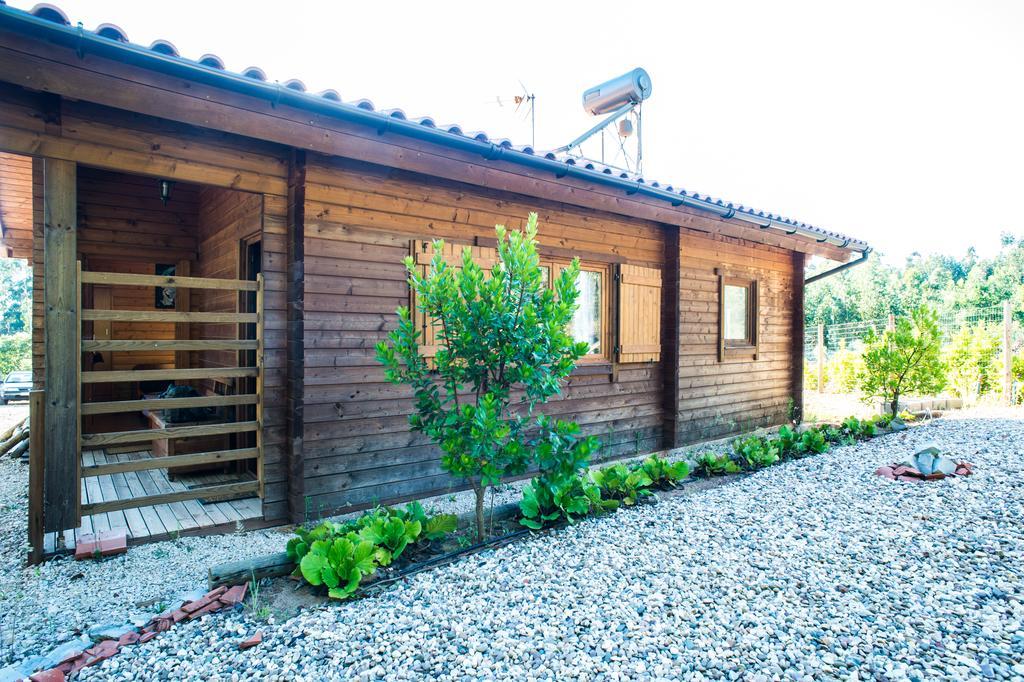 Quintinha Do Casal Ruivo Villa Figueiro Dos Vinhos Dış mekan fotoğraf