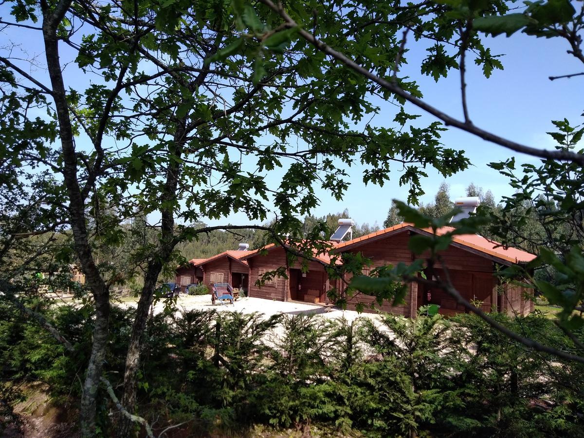 Quintinha Do Casal Ruivo Villa Figueiro Dos Vinhos Dış mekan fotoğraf